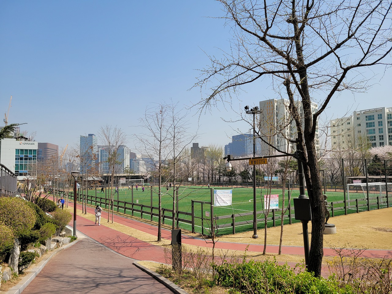 其他高水平 其他高水平